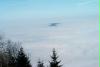 die suppe